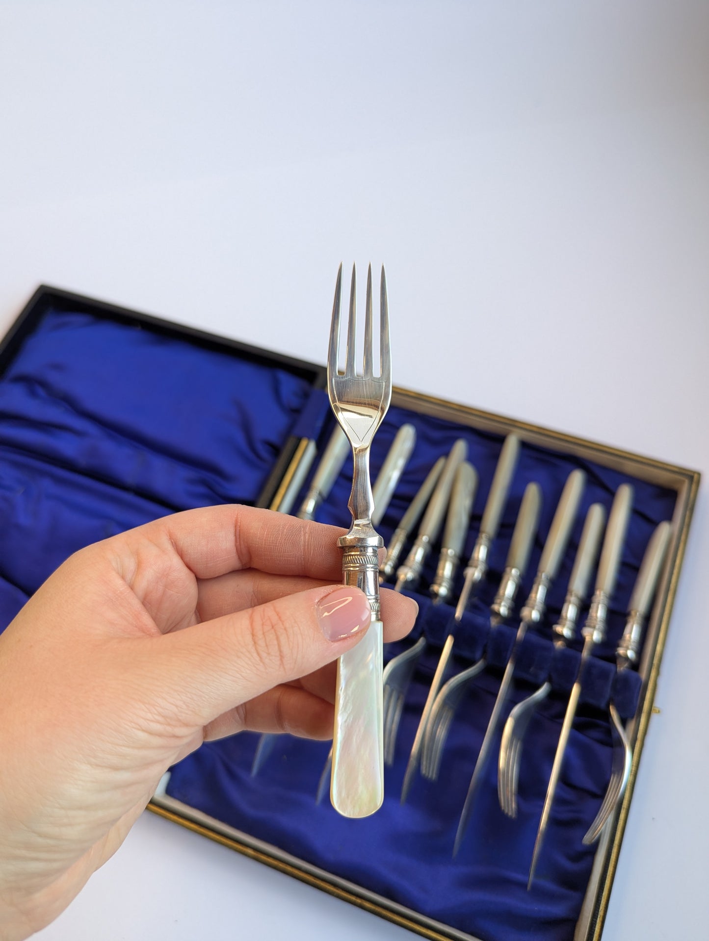Antique Mother-of-Pearl Fish Cutlery Set – 12-Piece Silver-Plated Fork & Knife Set in Original Box