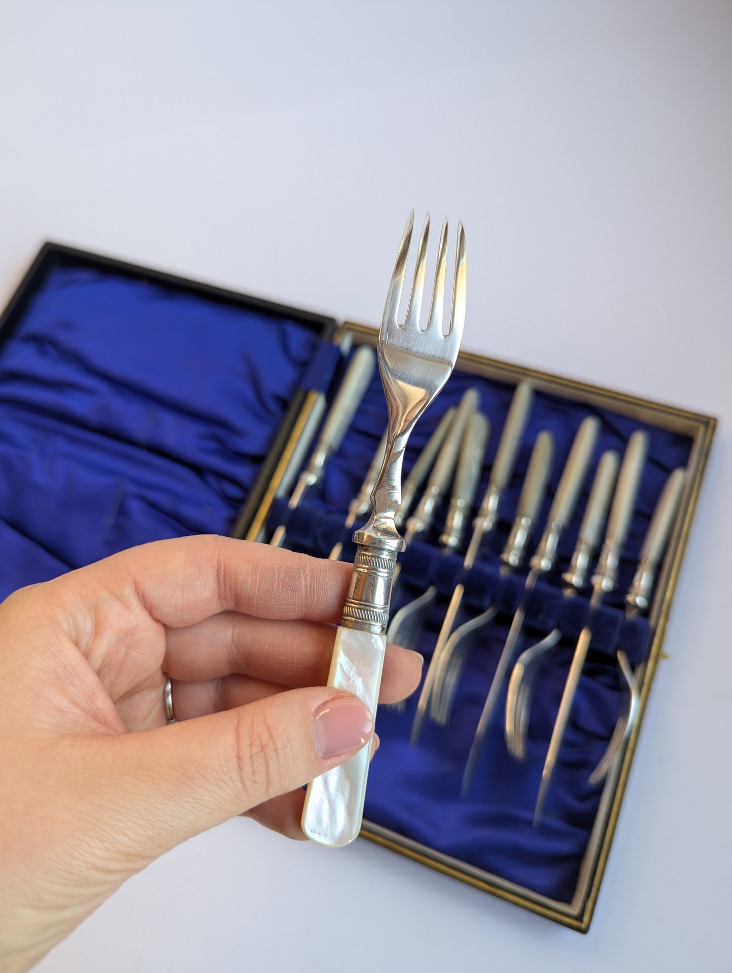 Antique Mother-of-Pearl Fish Cutlery Set – 12-Piece Silver-Plated Fork & Knife Set in Original Box