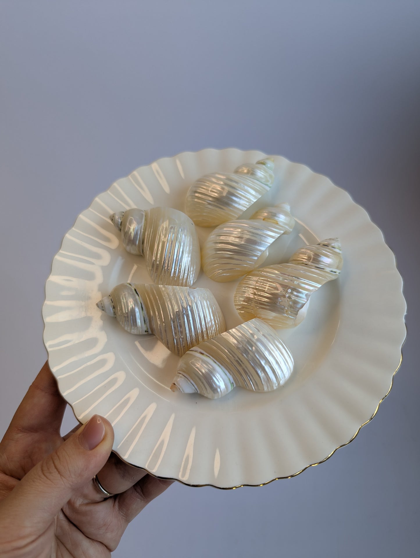 Set of Mother-of-Pearl Shell Napkin Rings – Coastal Elegance Table Decor (Set of 6)