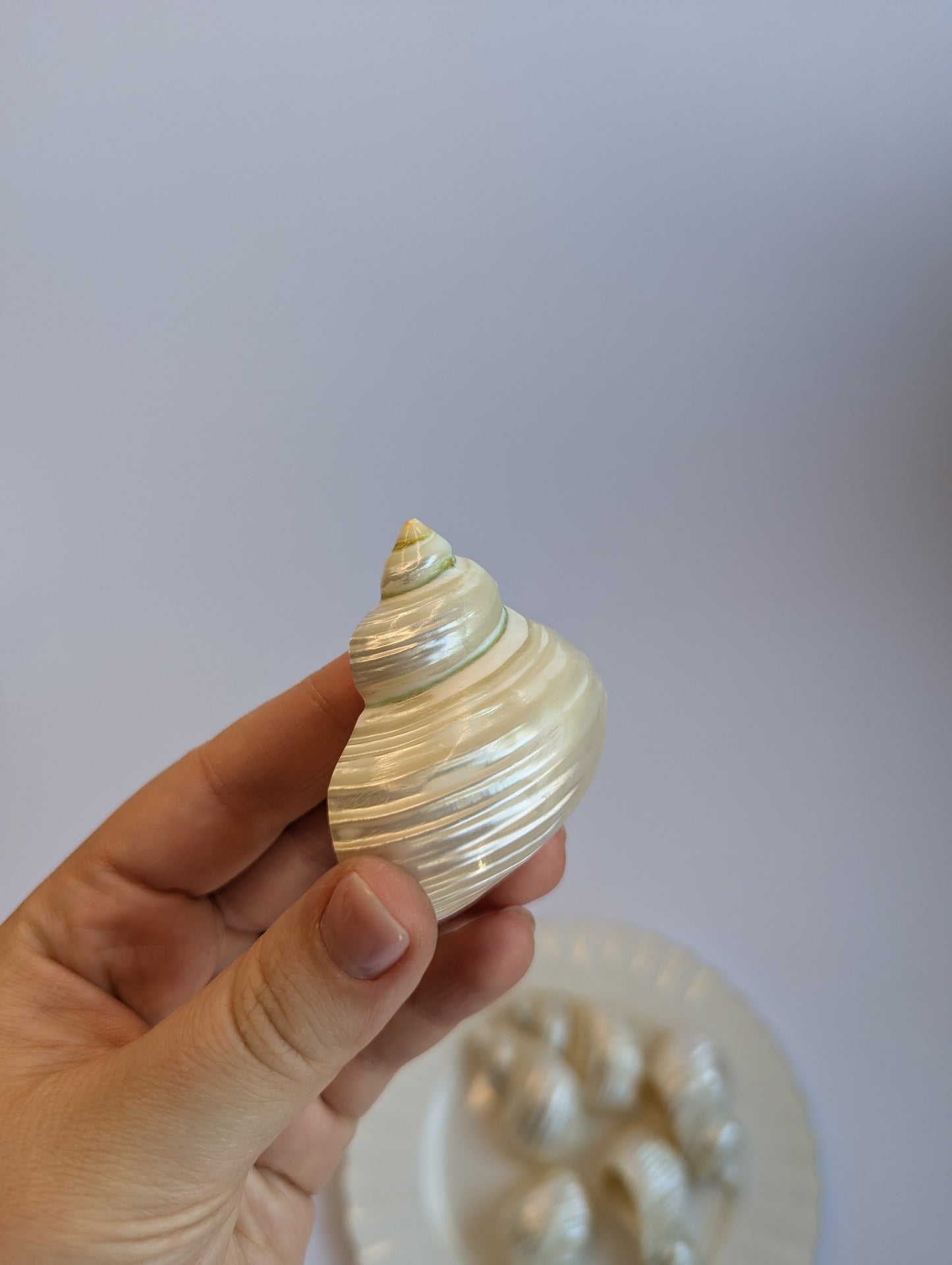 Set of Mother-of-Pearl Shell Napkin Rings – Coastal Elegance Table Decor (Set of 6)