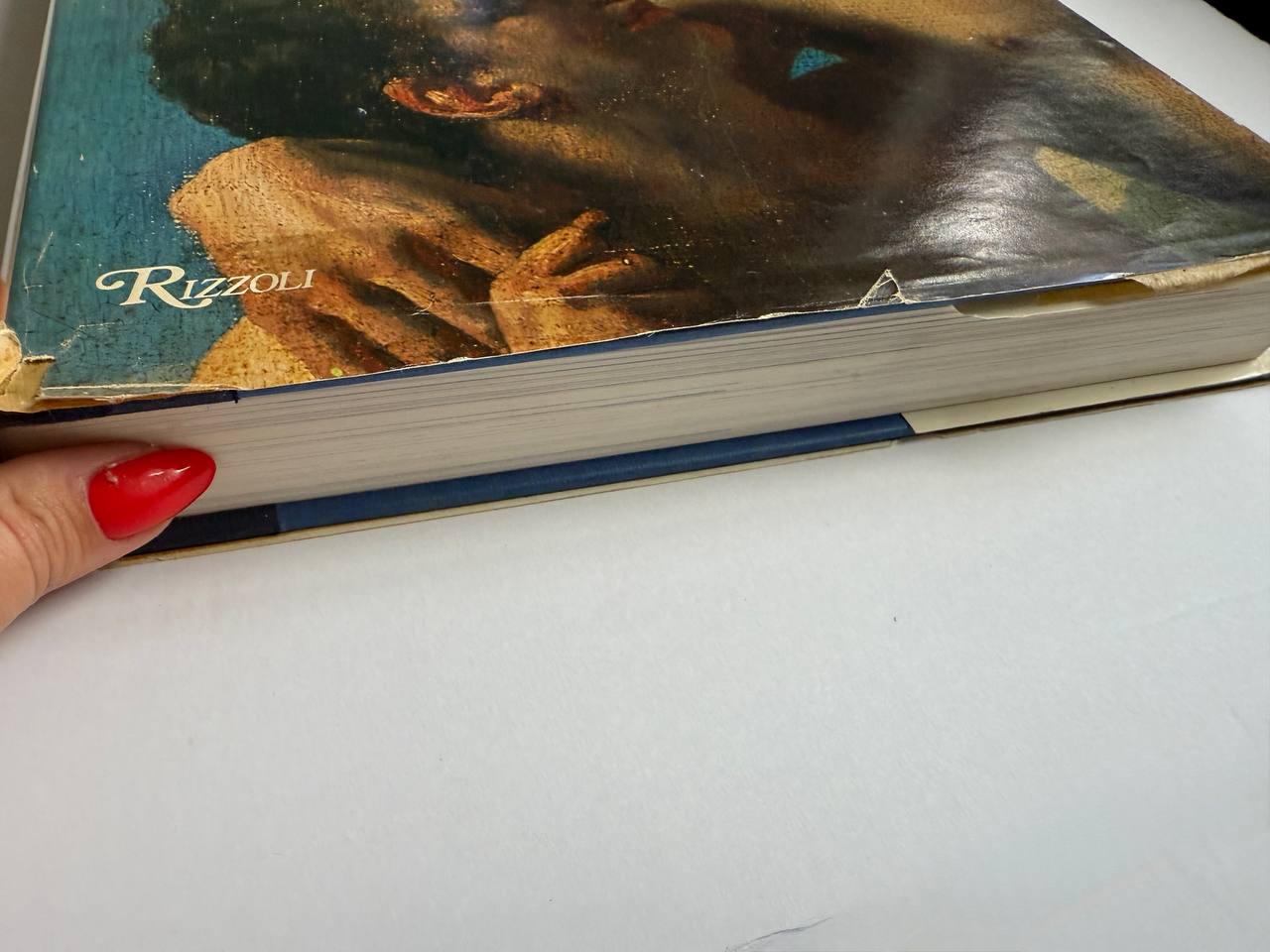 L’Amour Bleu – Rizzoli Art Book (320 pages)