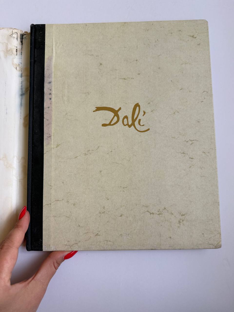 Dali: A Study of His Art-in-Jewels – Rare Art Book (160 pages)