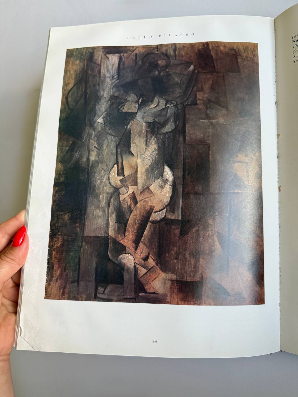Pablo Picasso by Jesse McDonald – Illustrated Art Book (Approx. 80 Pages)