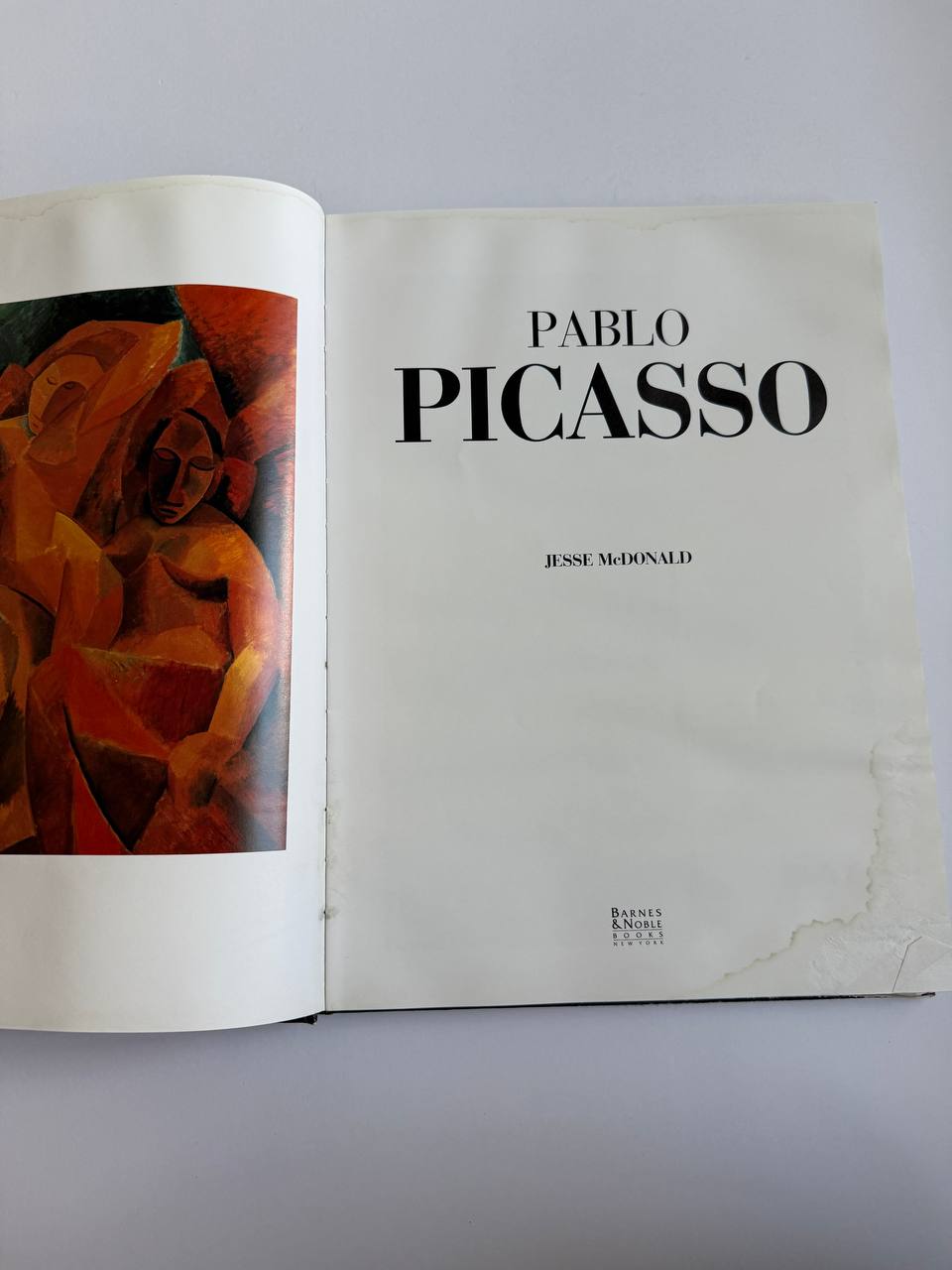 Pablo Picasso by Jesse McDonald – Illustrated Art Book (Approx. 80 Pages)