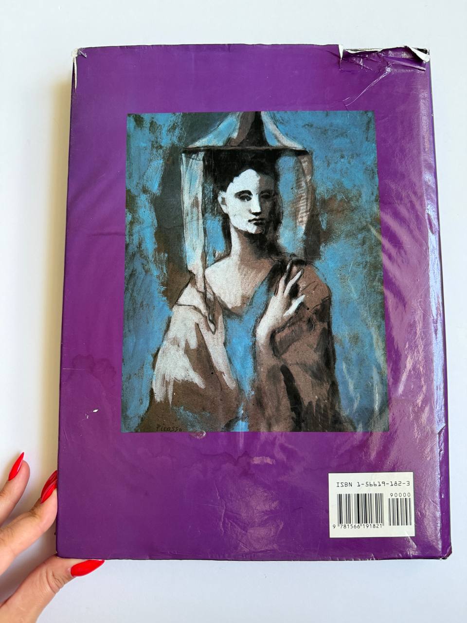 Pablo Picasso by Jesse McDonald – Illustrated Art Book (Approx. 80 Pages)