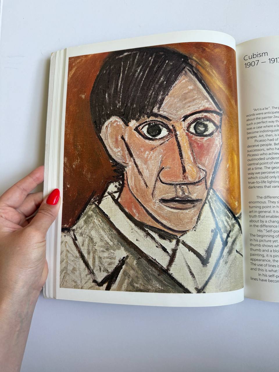 Pablo Picasso by Jesse McDonald – Illustrated Art Book (Approx. 128 Pages)