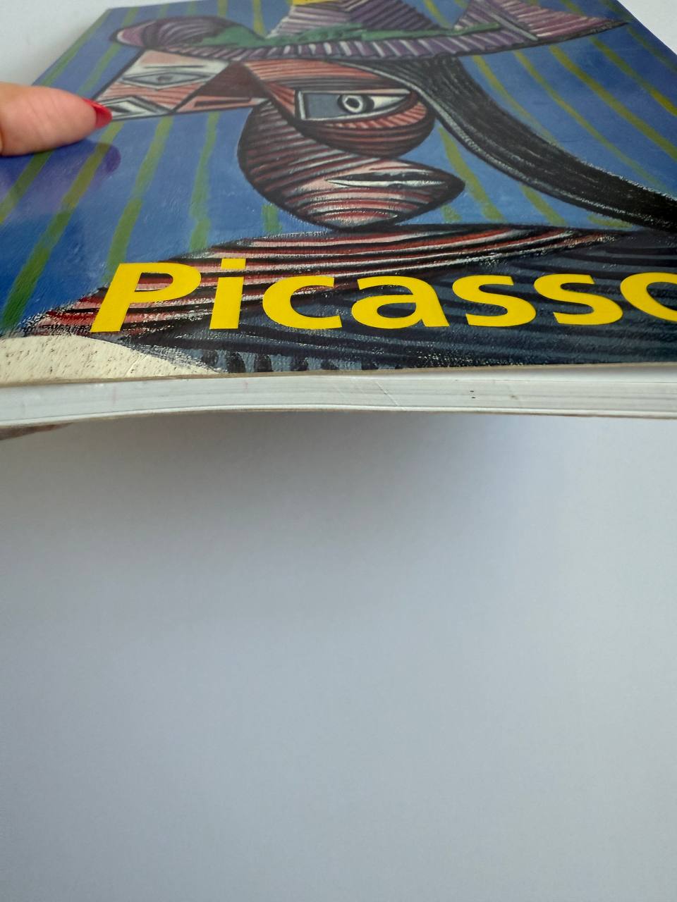 Pablo Picasso by Jesse McDonald – Illustrated Art Book (Approx. 128 Pages)