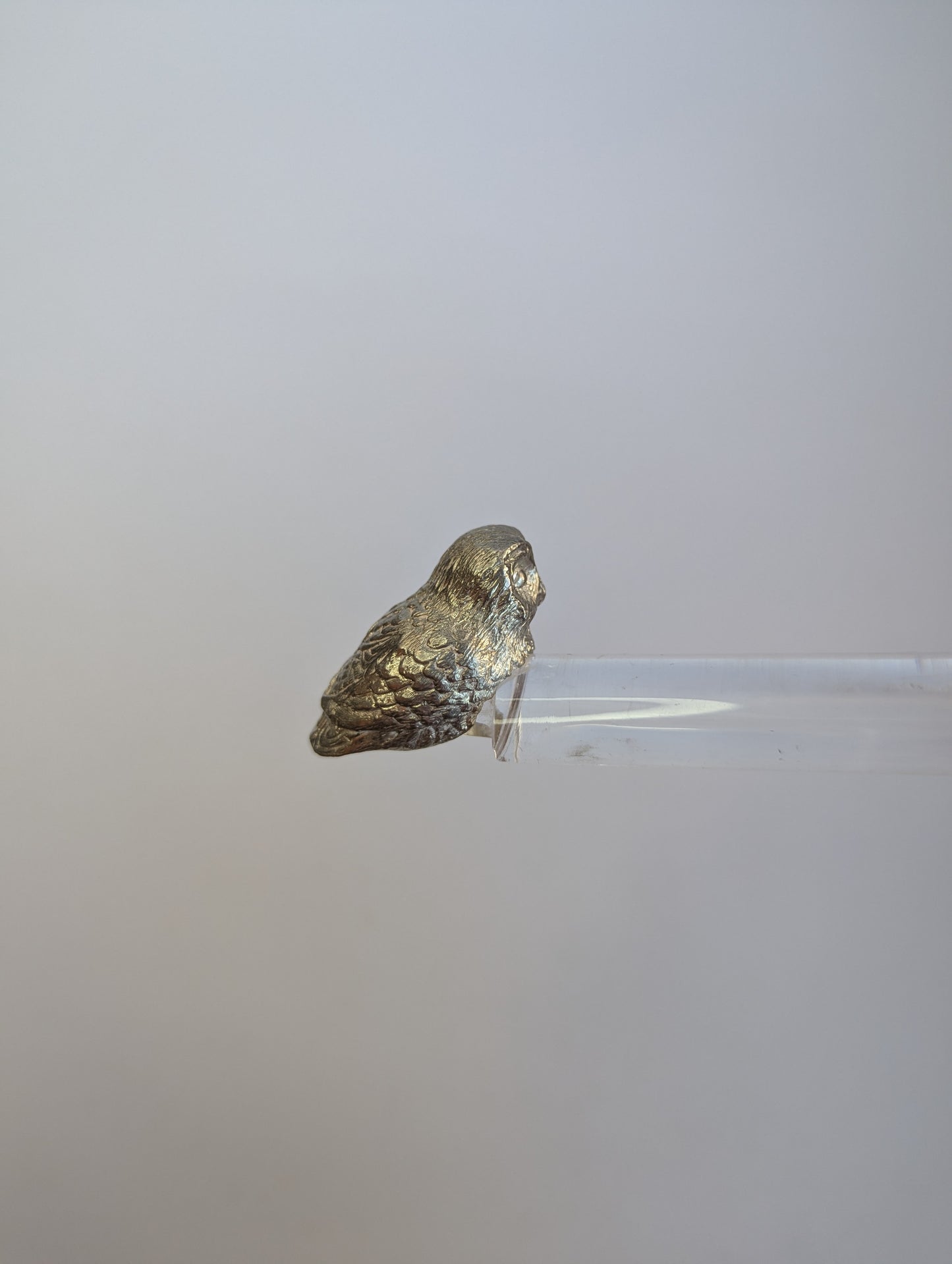 Vintage Silver-Plated Owl Magnifying Glass – Reading Loupe with Glass Handle